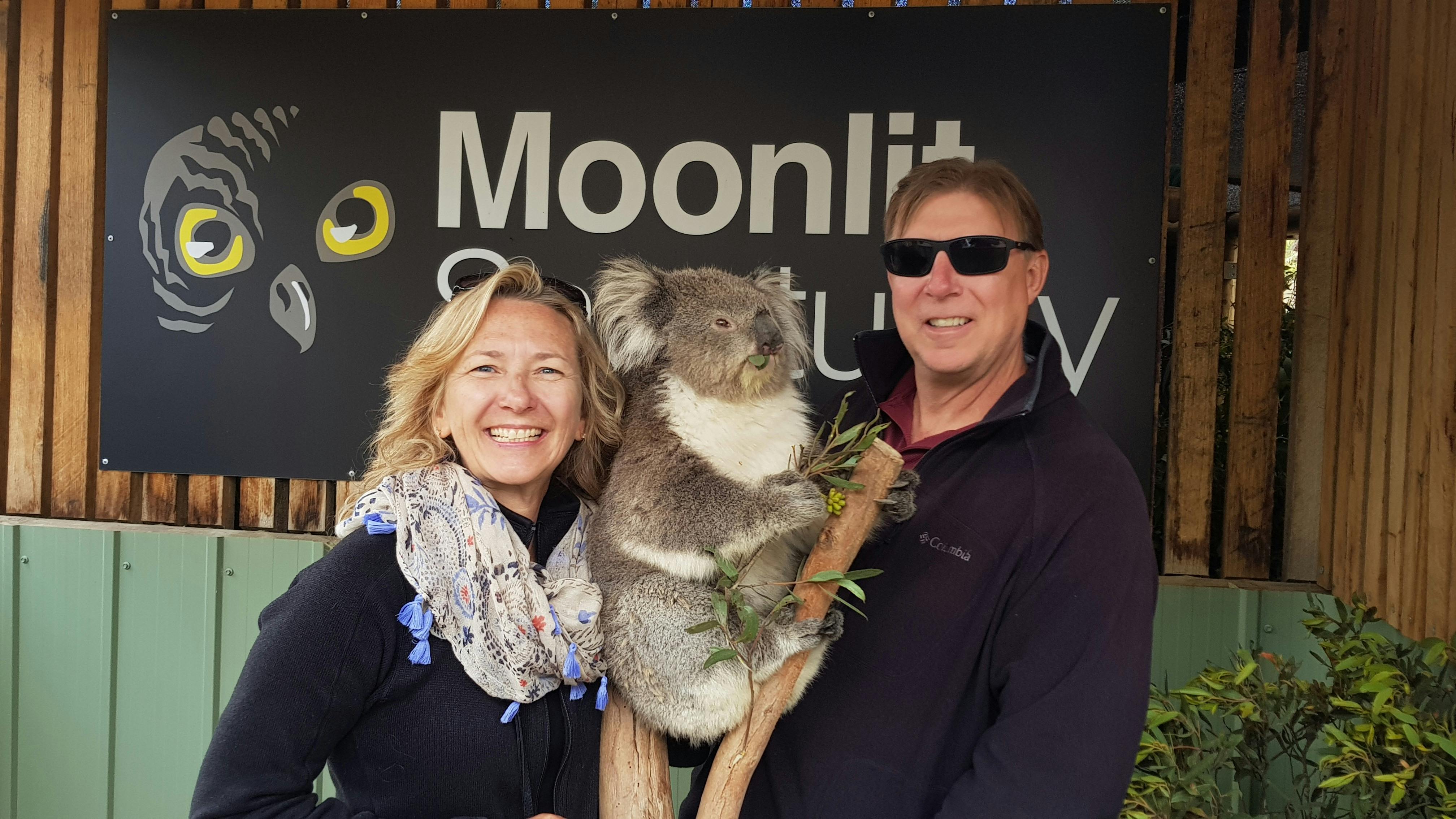 Koala Encounter at Moonlit Sanctuary