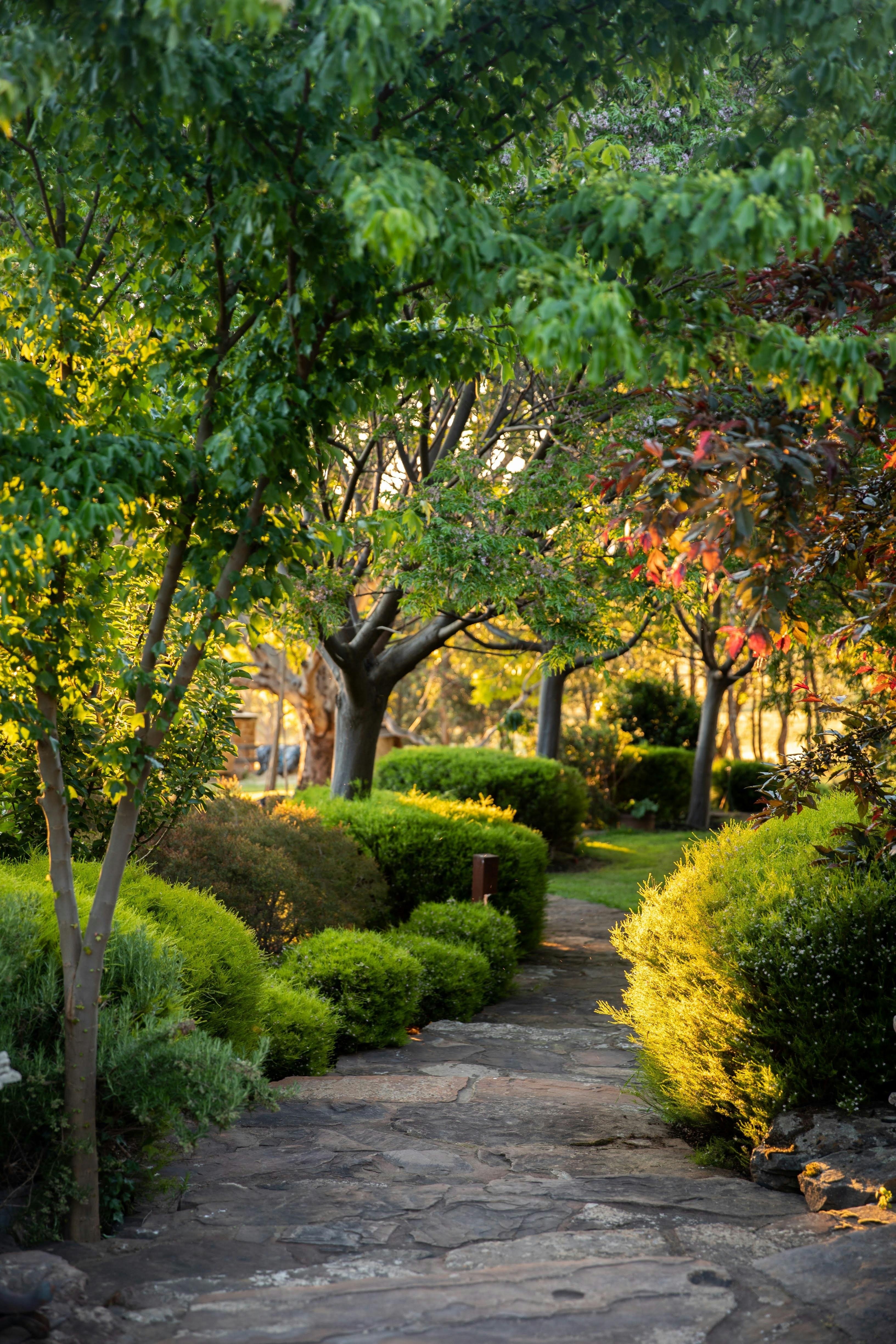 Gorgeous tree lined laneway featuring autumn colours