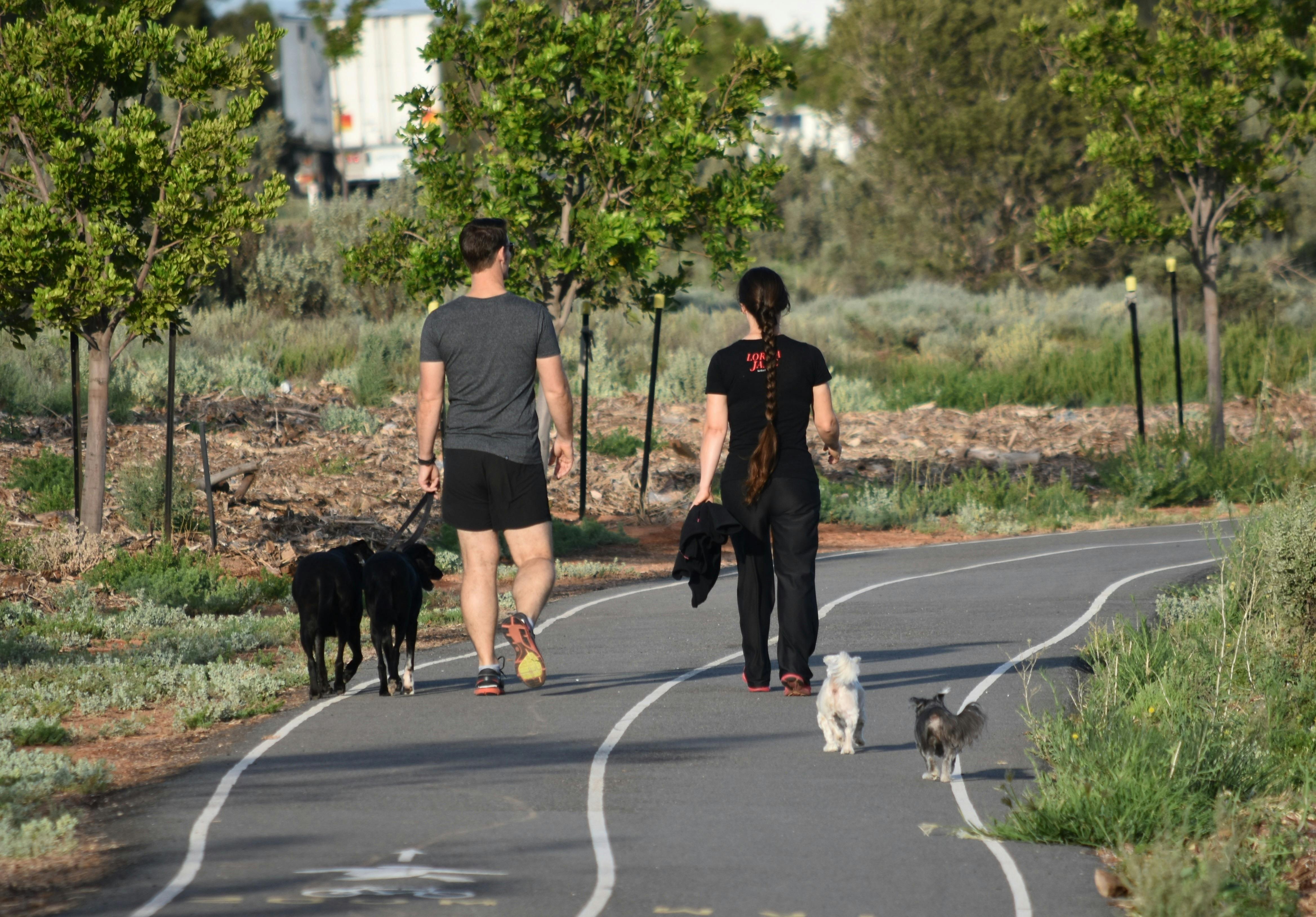 Whyalla Wetlands