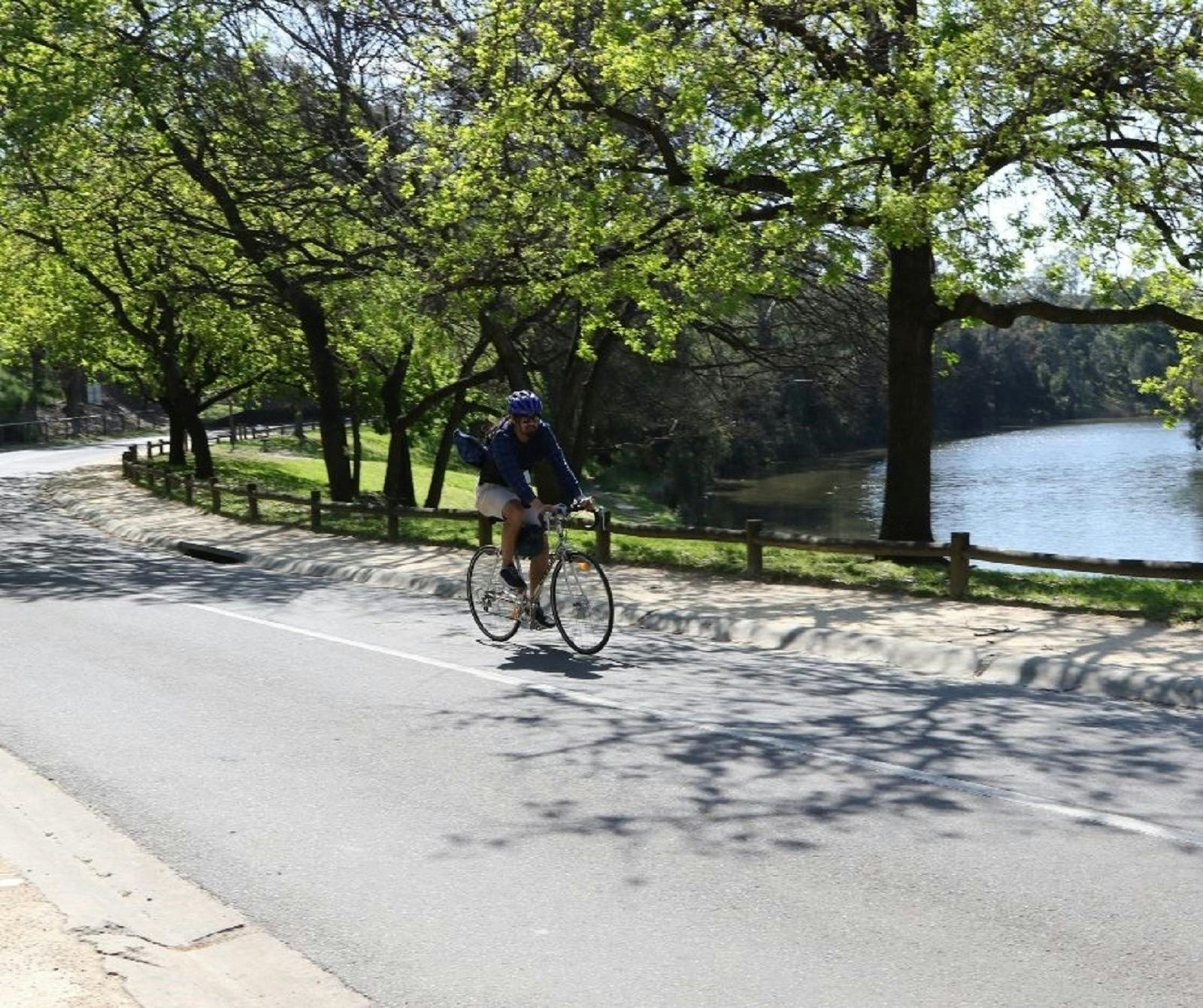 パラマッタ川の上流にあるパラマッタパーク内から始まるサイクリングをお楽しみください