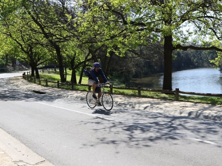 Enjoy a cycle ride starting within Parramatta Park at the upper end of the Parramatta River