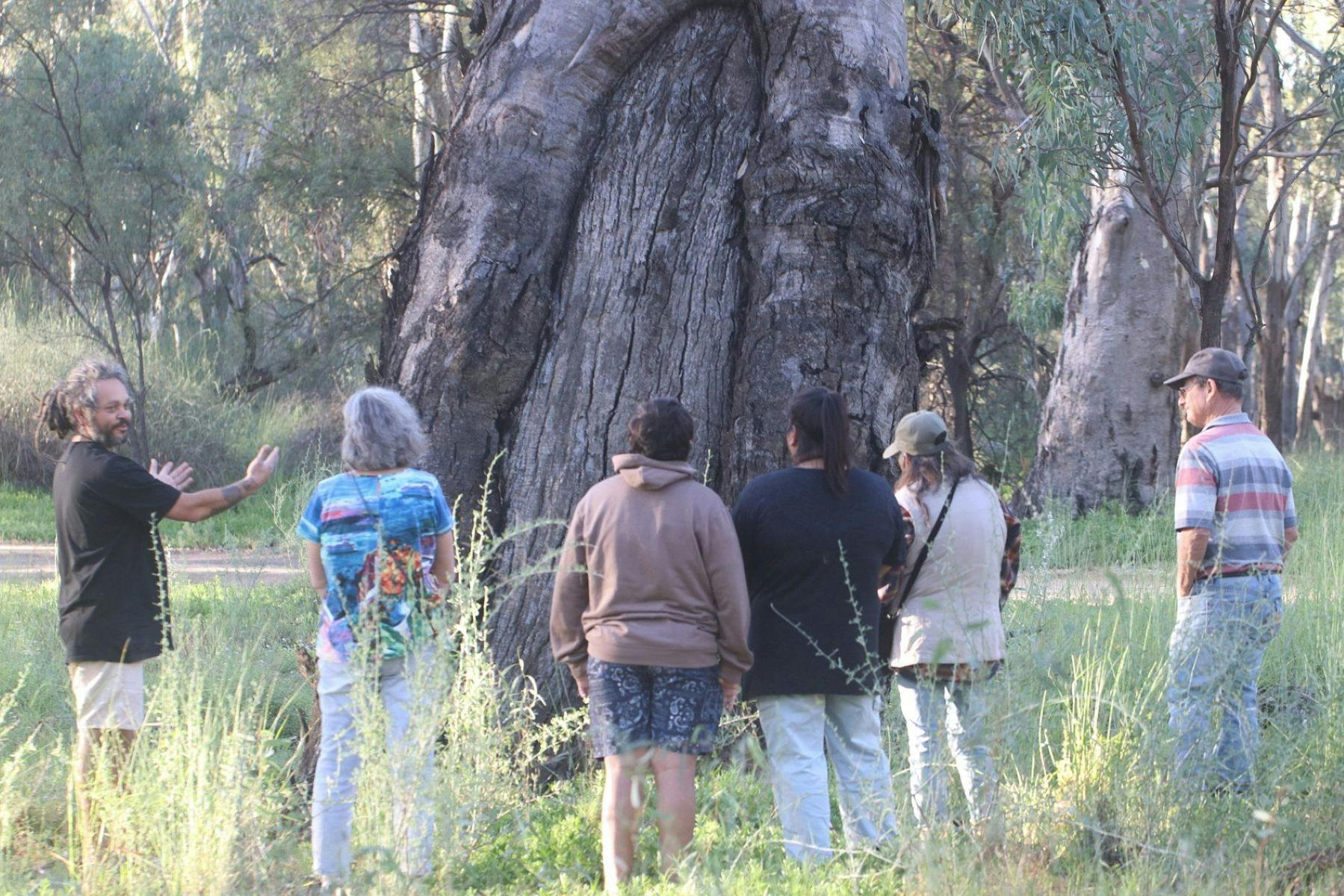 On-Country Cultural Immersion