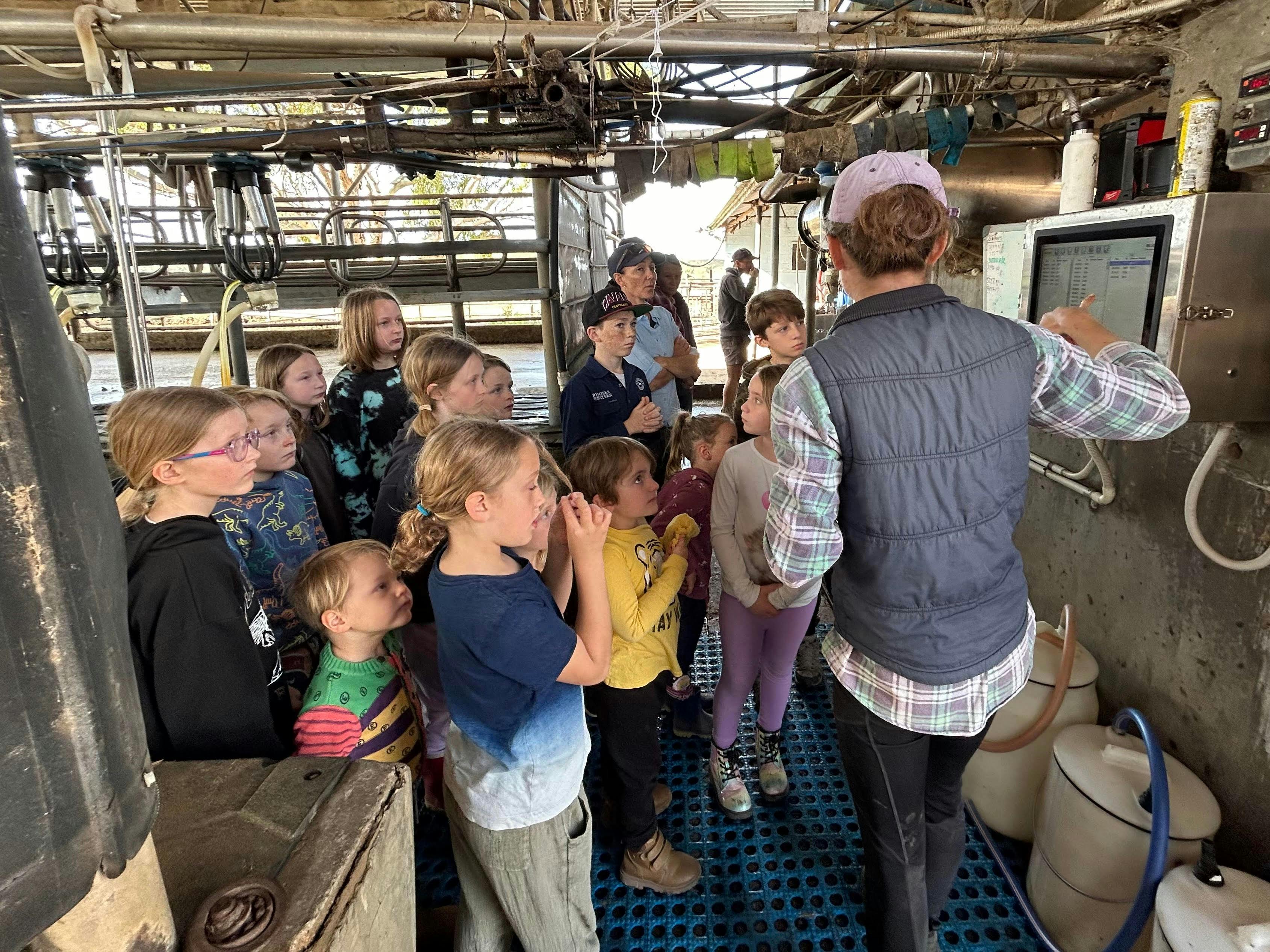 Kids learning about the dairy