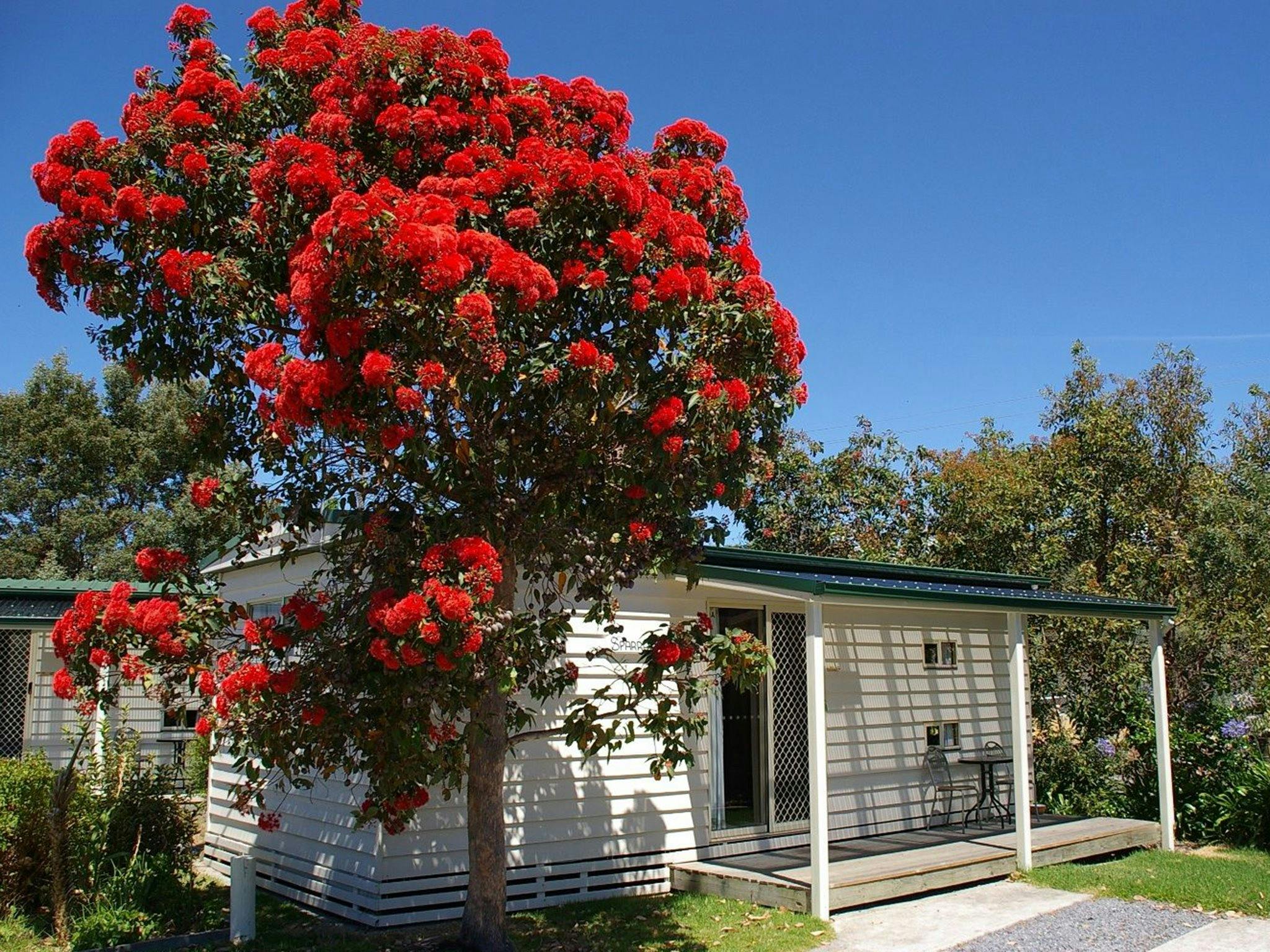 Family accommodation at Beauty Point Tourist Park