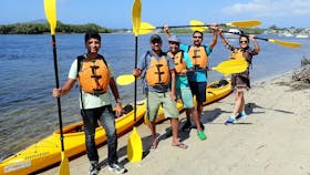 A group of friends having a great time on a guided kayak tourtour