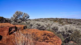 Ngiyampaa Walking Track