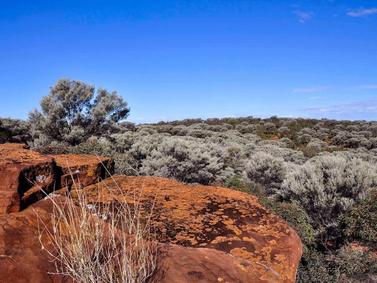 Ngiyampaa Walking Track | NSW Holidays & Accommodation ...