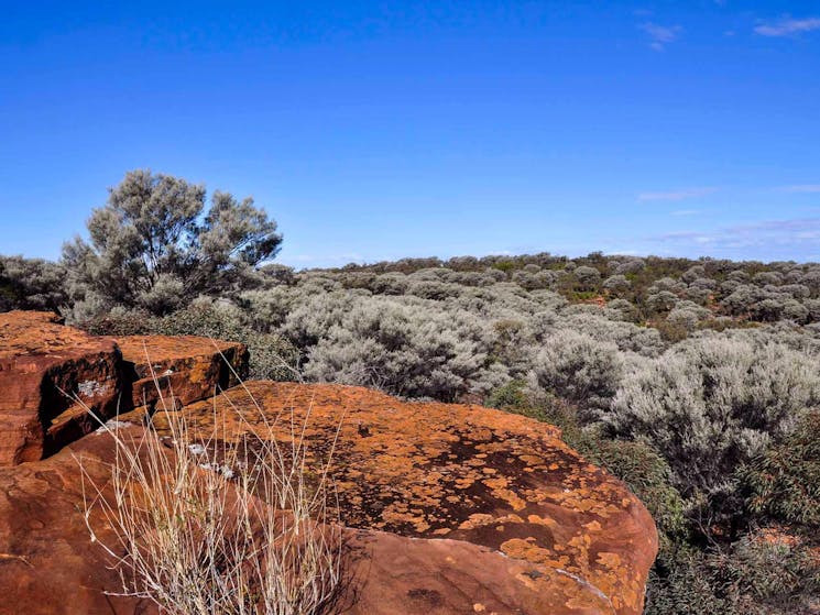 Ngiyampaa walking track, Mount Grenfell Historic Site. Photo: NSW Government