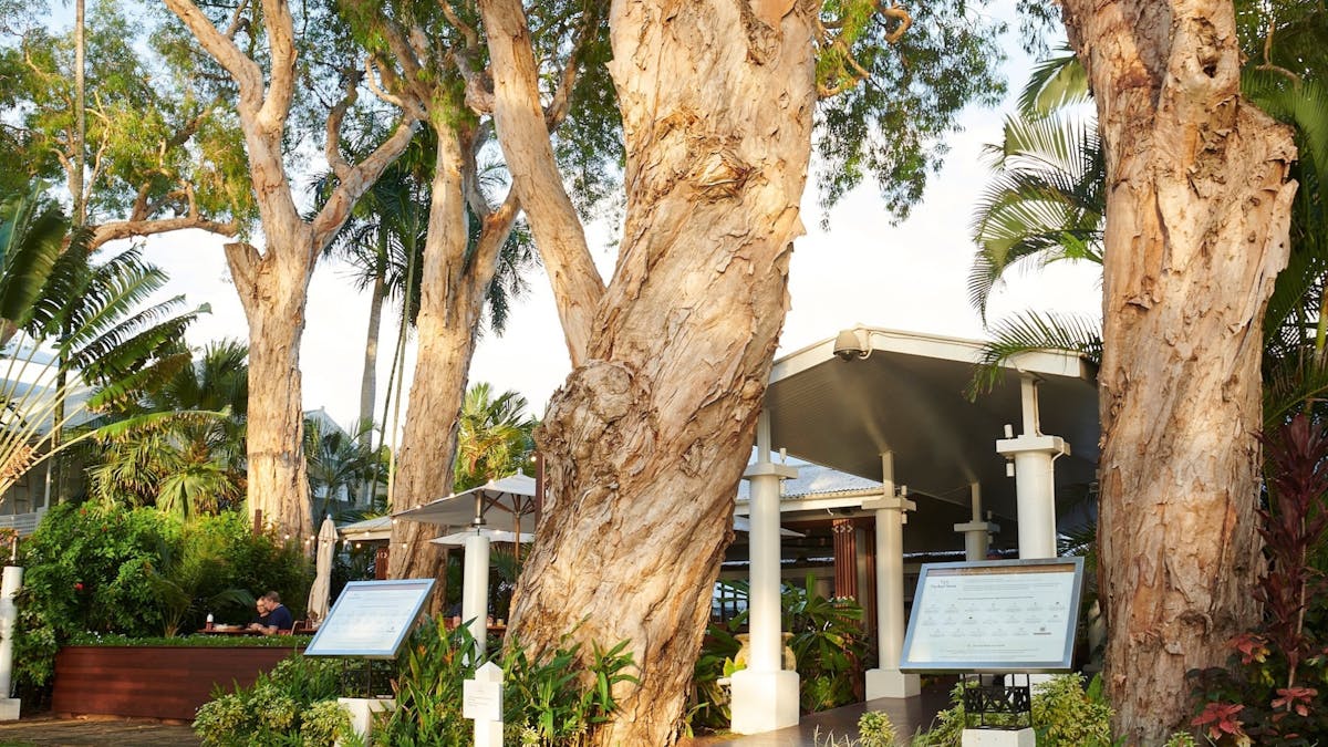 The Reef House Restaurant Palm Cove
