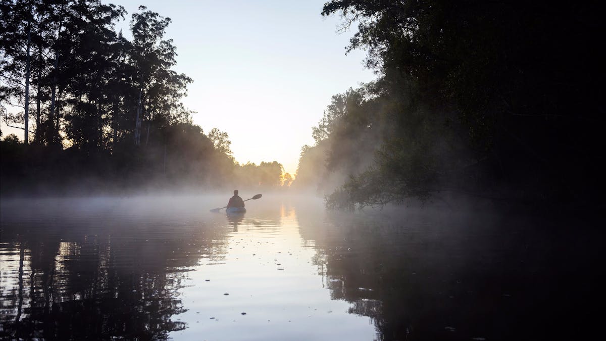 Mist morning on Yabba Creek Imbil