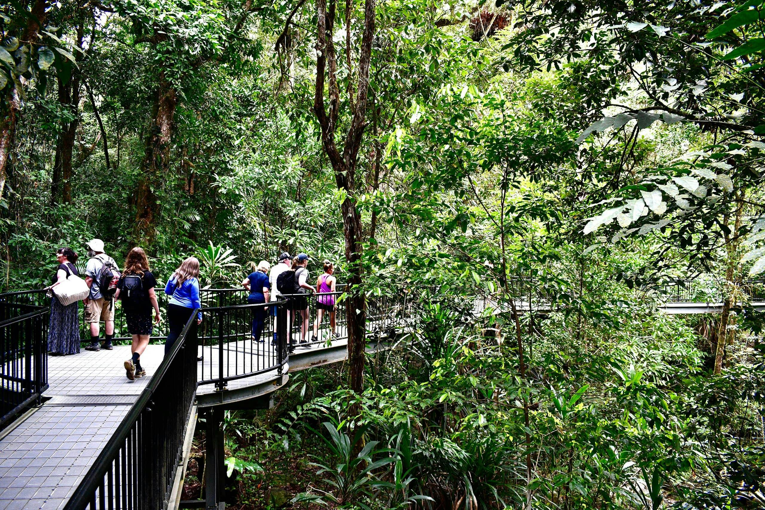 Explore this ancient rainforest
