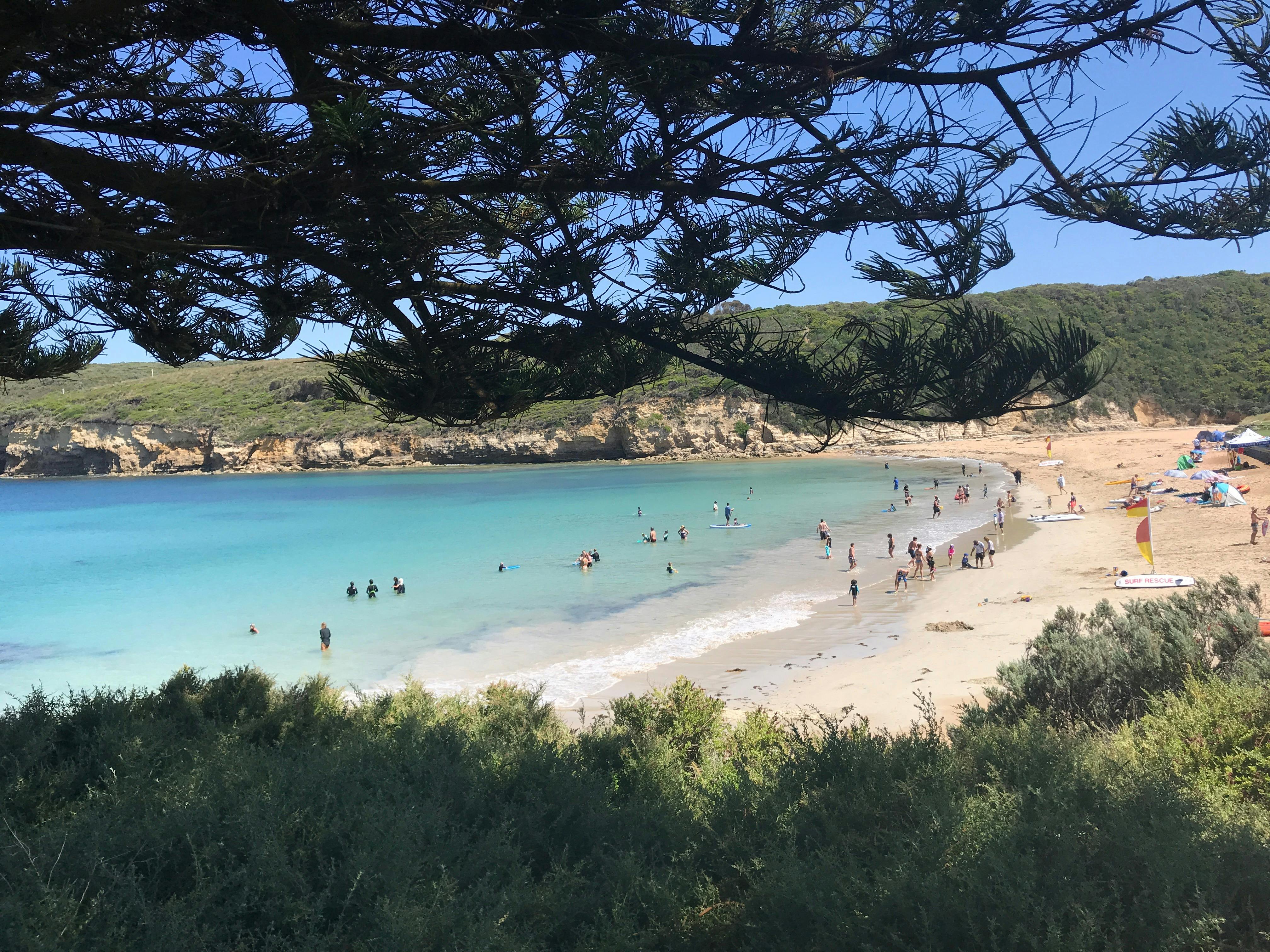 Great Ocean Road Reverse Itinerary Small Groups Tour