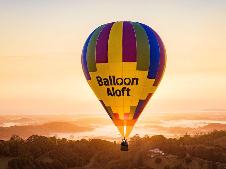 Balloon Aloft Byron Bay sunrise flights