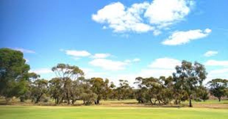Mannum Golf Club Accommodation