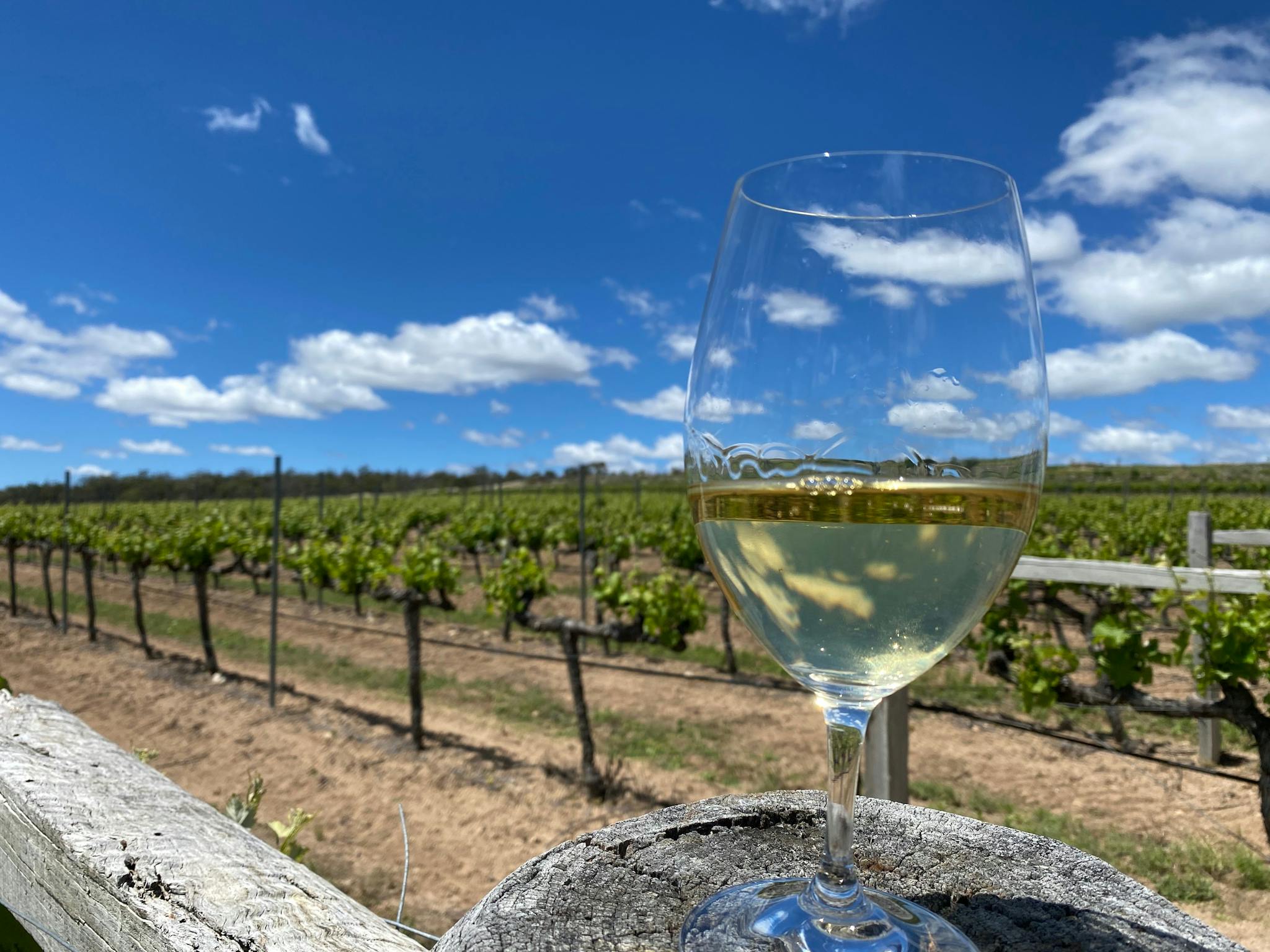 Ballandean winery Ballandean winery