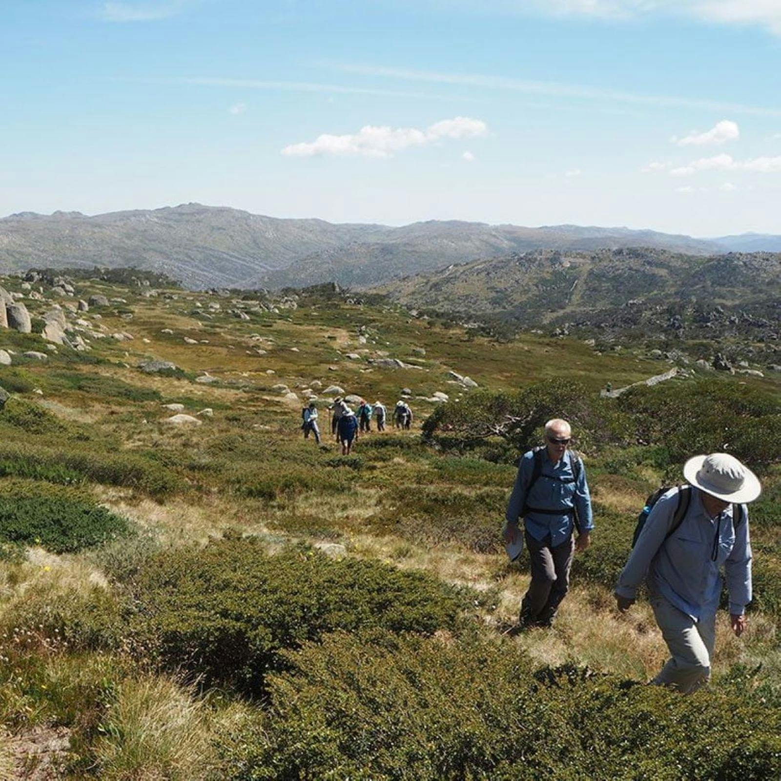 Snowy Mountains and Mt Kosciuszko Long Weekend - 4 Day Group-Guided