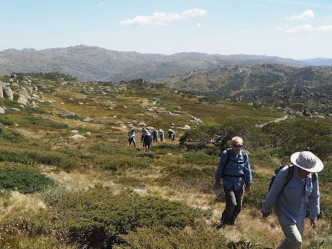 Snowy Mountains and Mt Kosciuszko Long Weekend - 4 Day Group-Guided