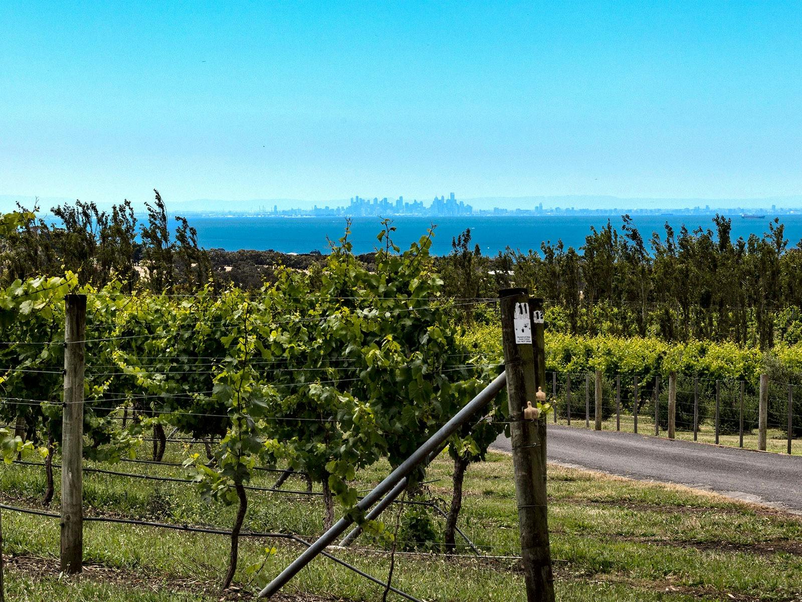 View from Scotchman's Hill