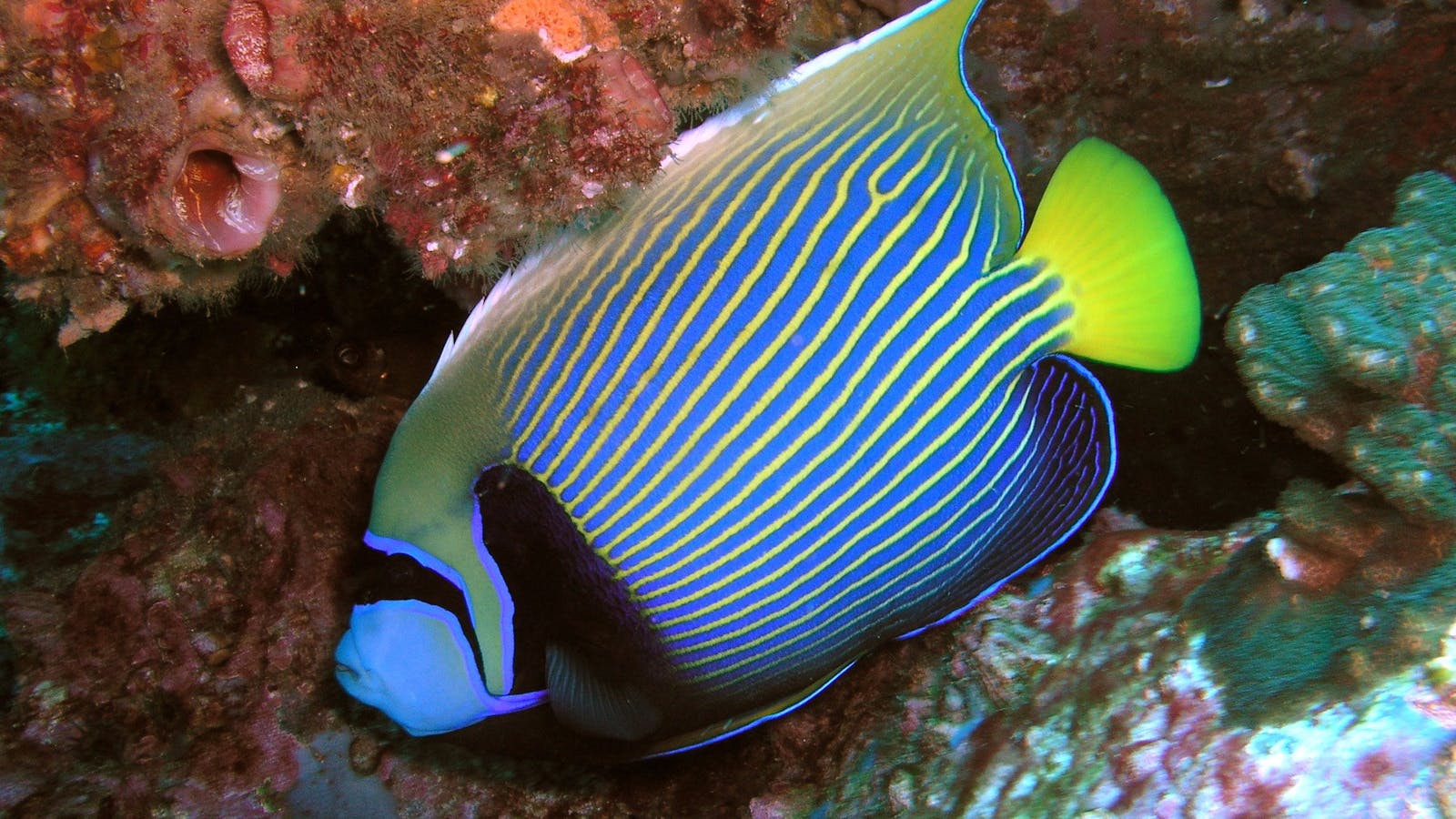 Jetty Dive Centre