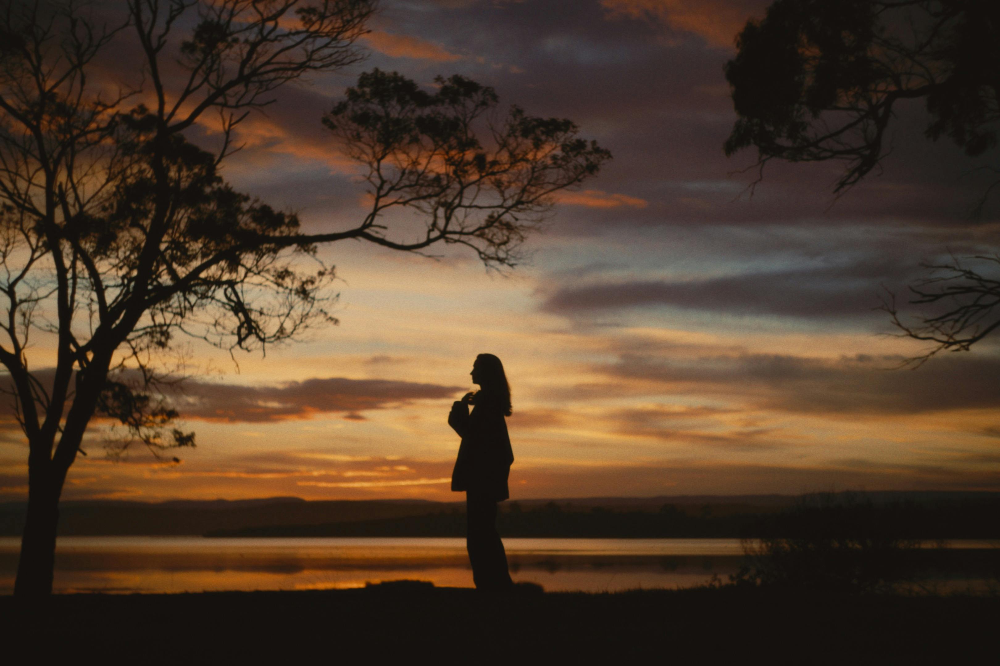 Tassie Vineyrd