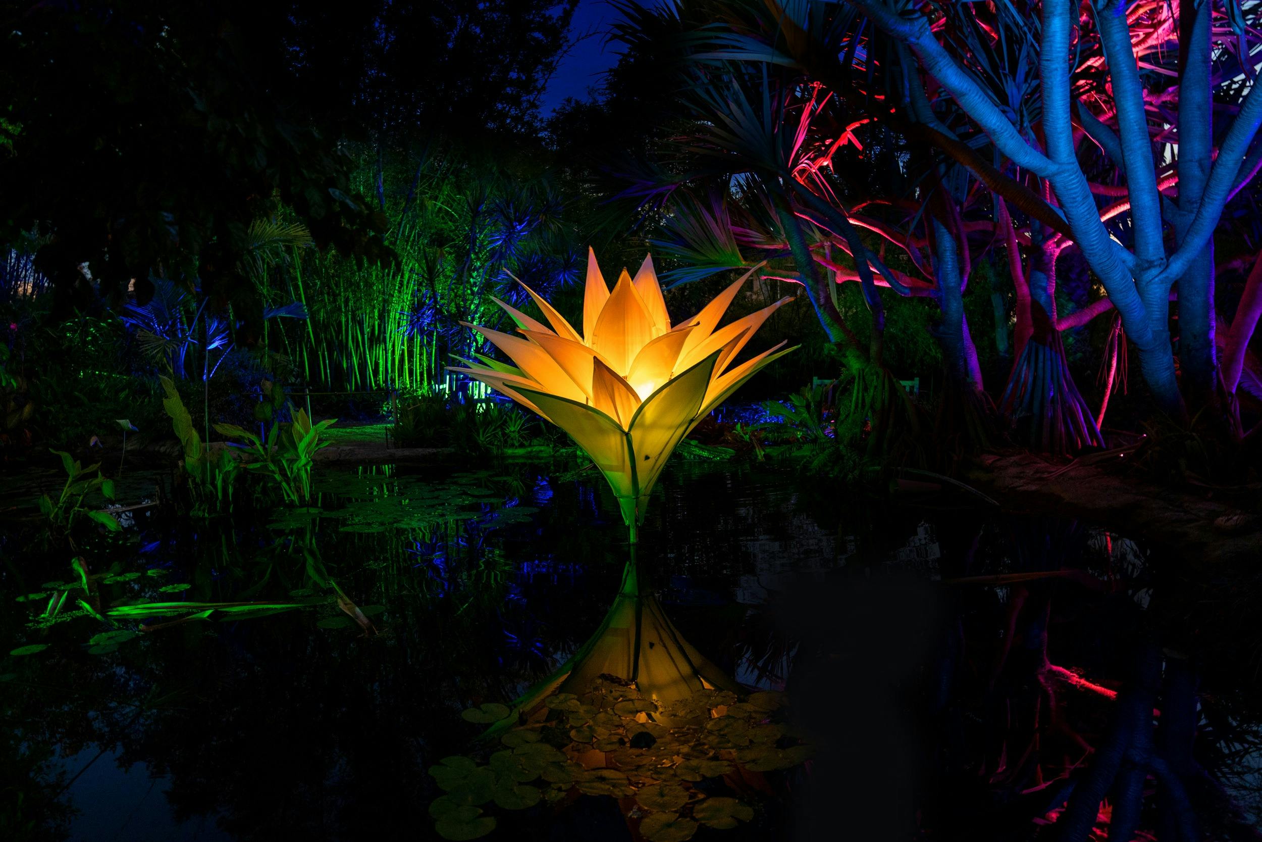 Lightfall at Royal Botanic Gardens Cranbourne