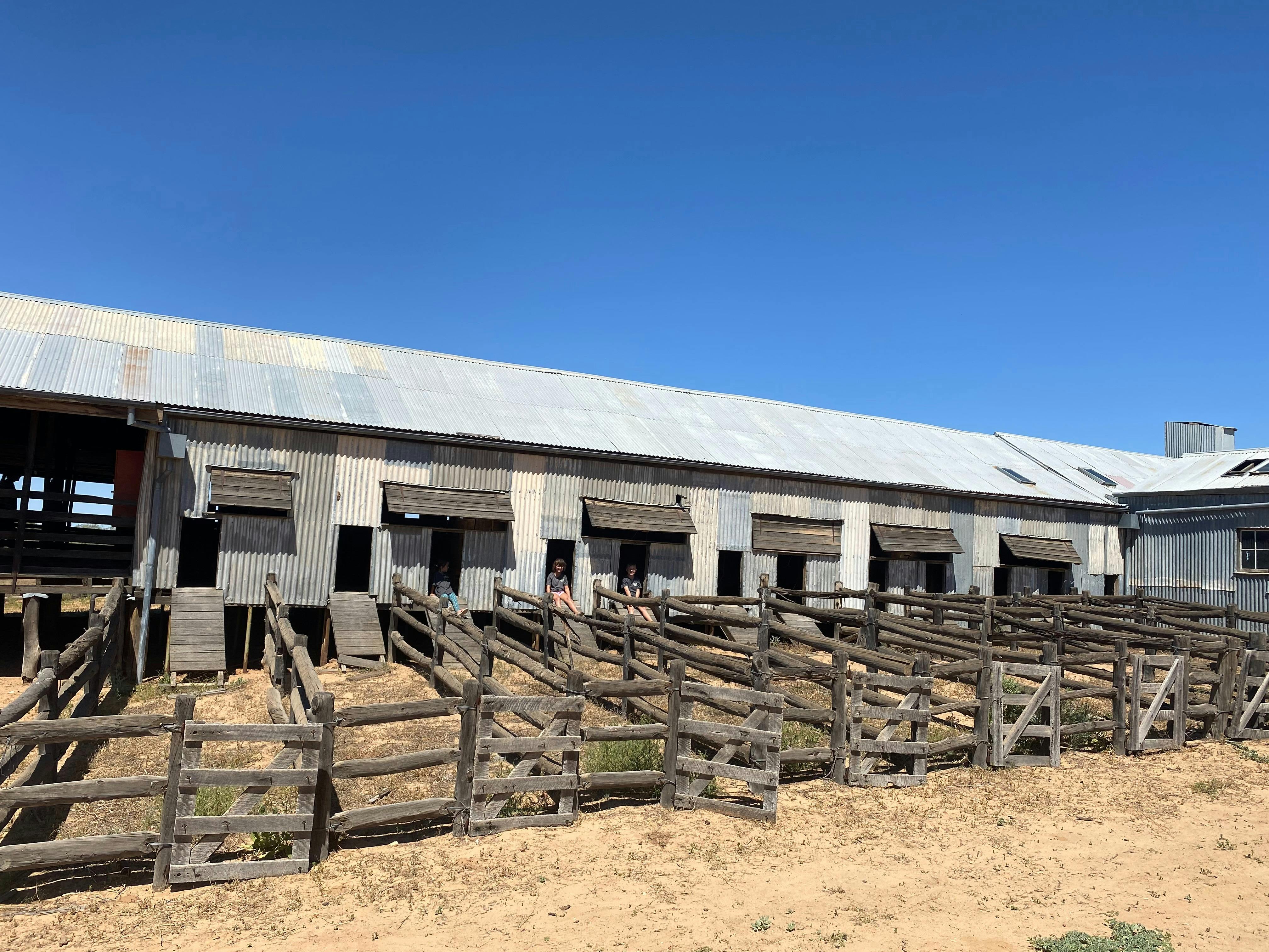 Step back in time and take in the t at Kinchega NP