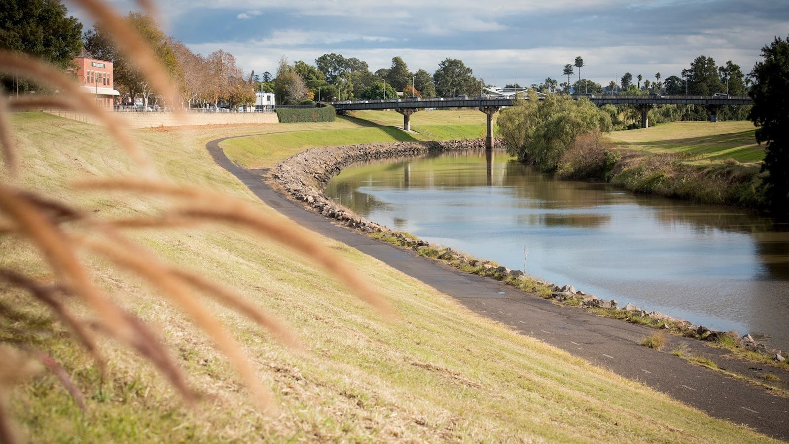 The Levee Central Maitland