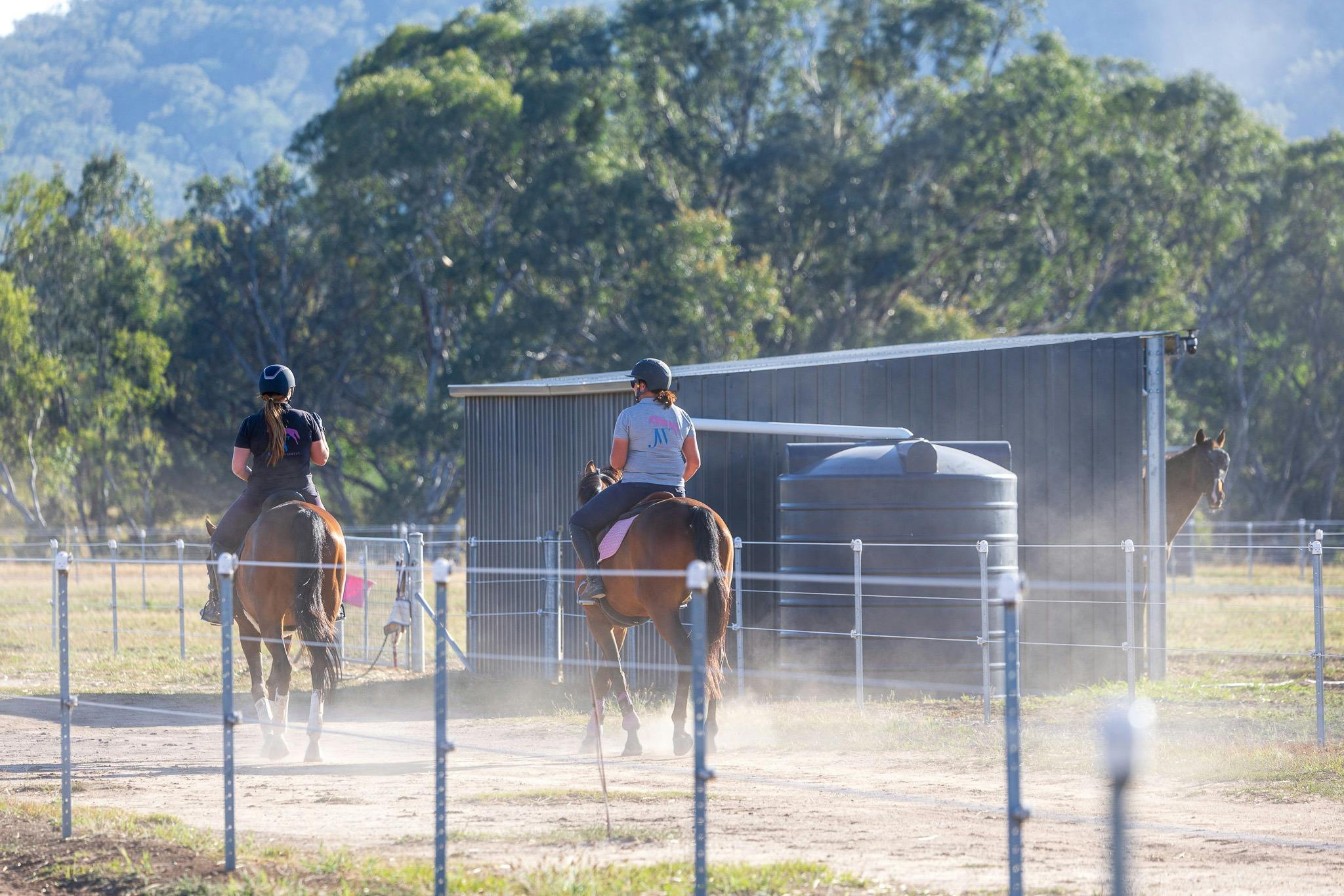 Easy and stress free