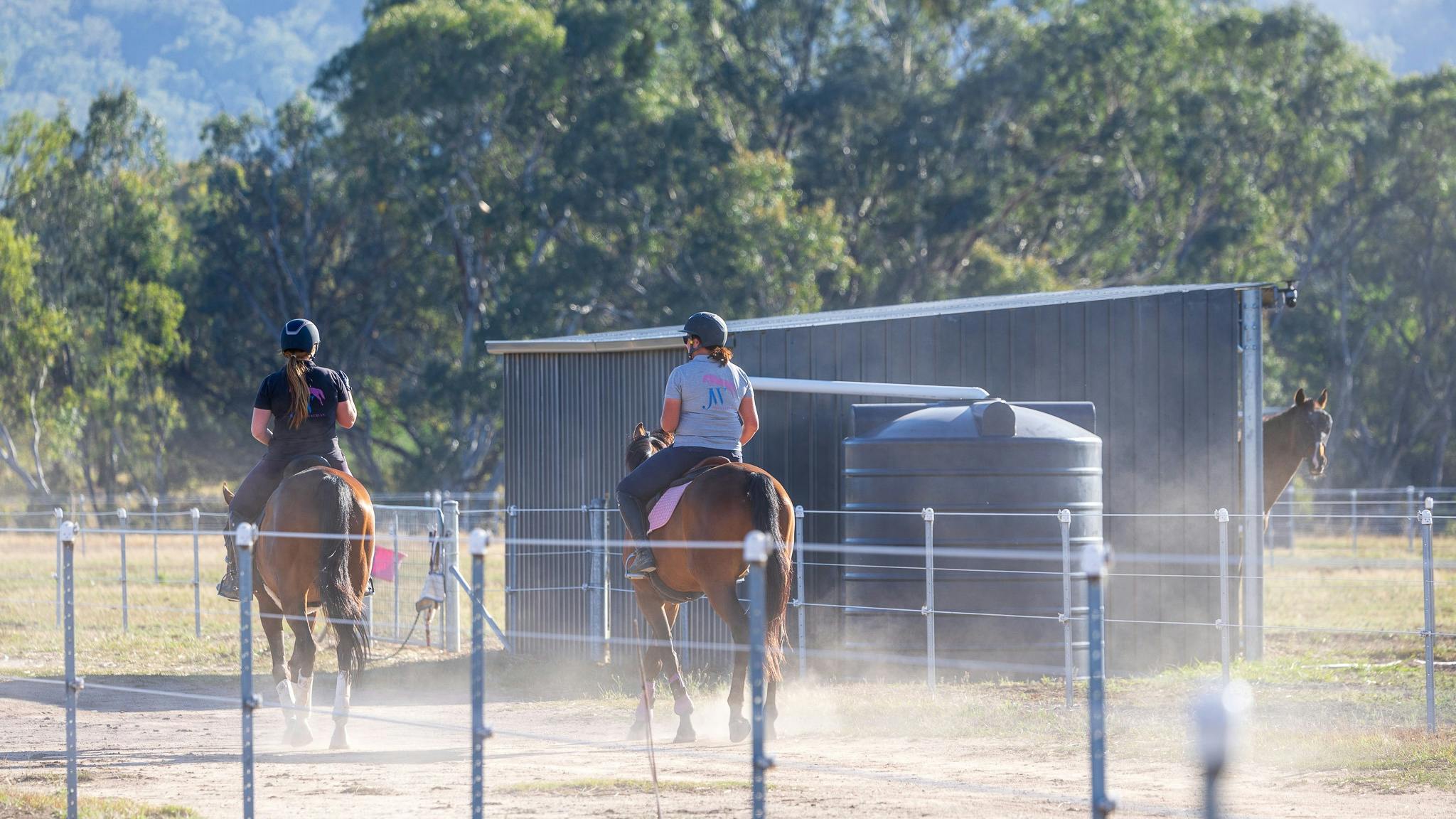 Easy and stress free