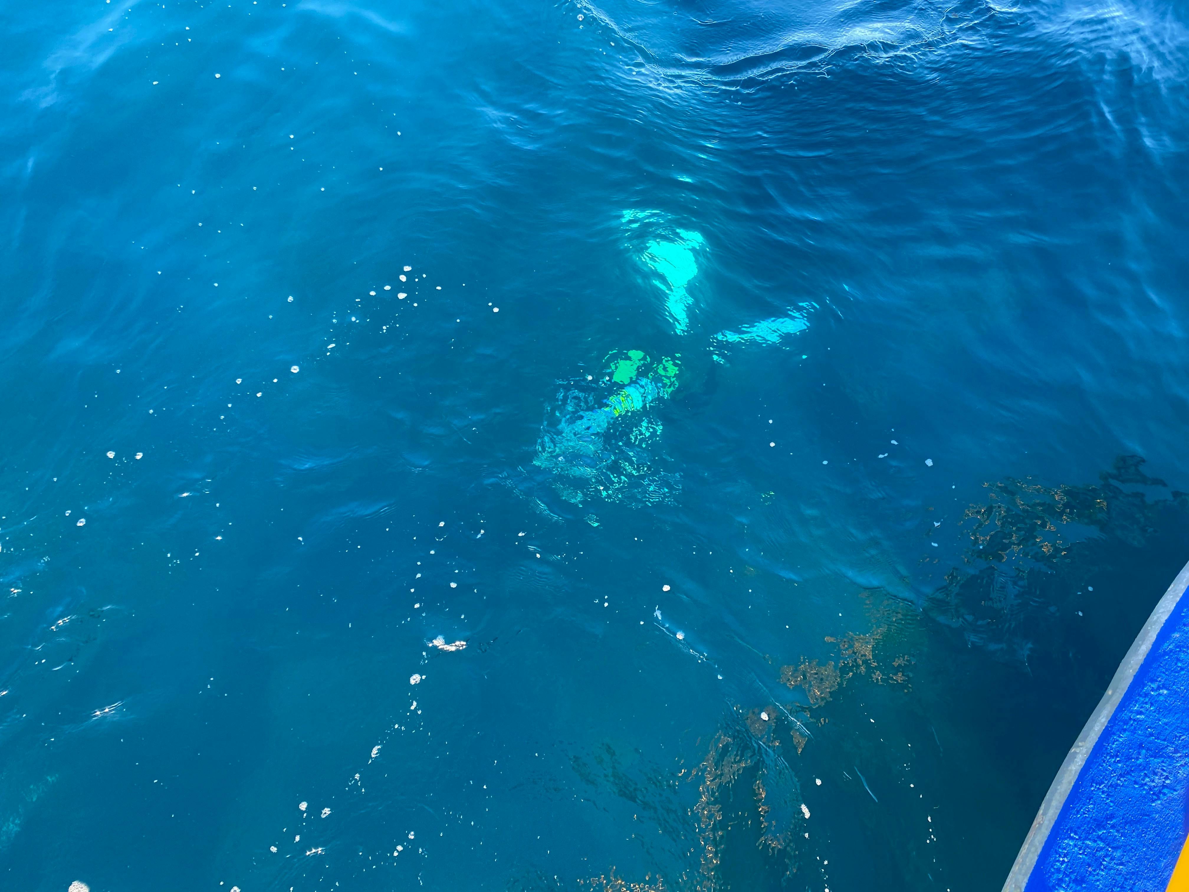 diver at depth
