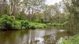 Fiddens Wharf Walking Track