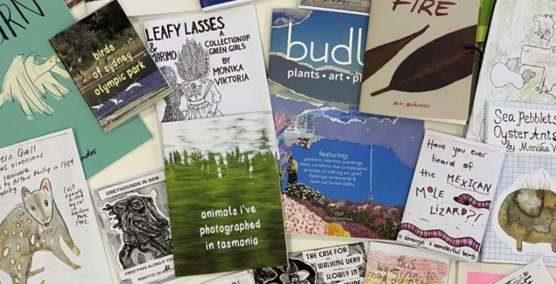 Illustrated Zine Workshop 12 – 16 yrs at Mindaribba Local Aboriginal Land Council