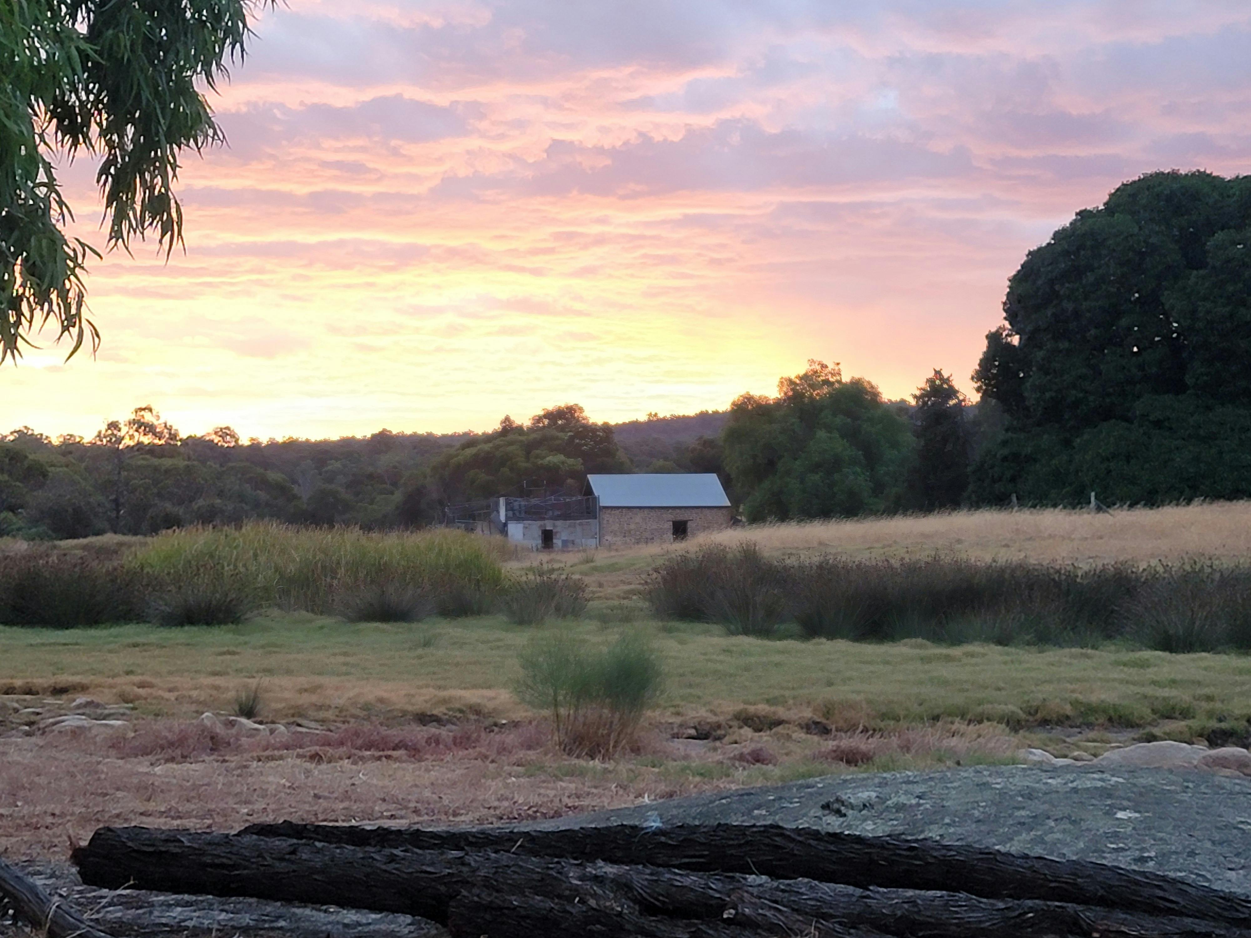 Summer Creek Restaurant