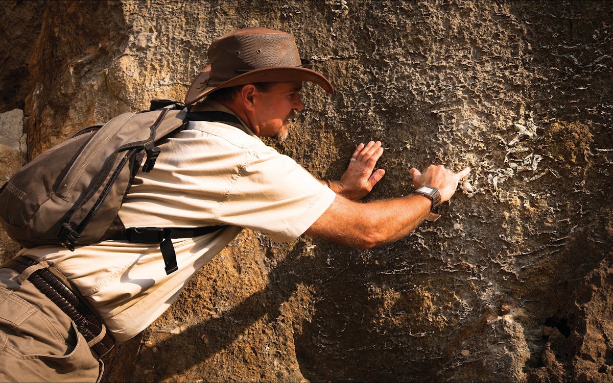 Fossil Fields at Riversleigh