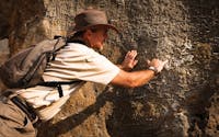 Fossil Fields at Riversleigh