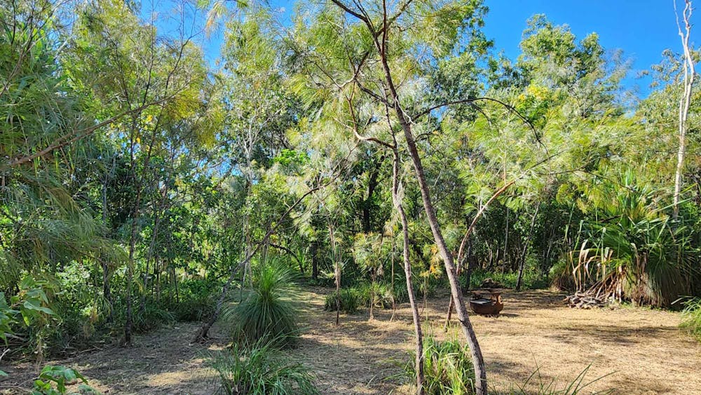 Black River Bush Retreat