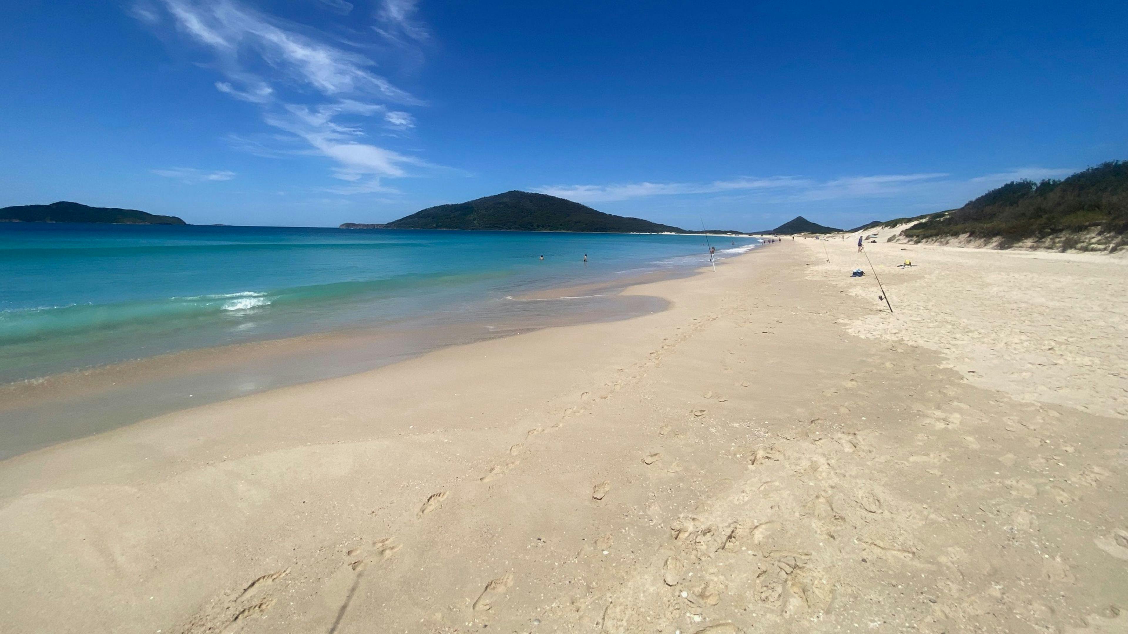 フェイムマウンテンキャンプ - ペット歓迎