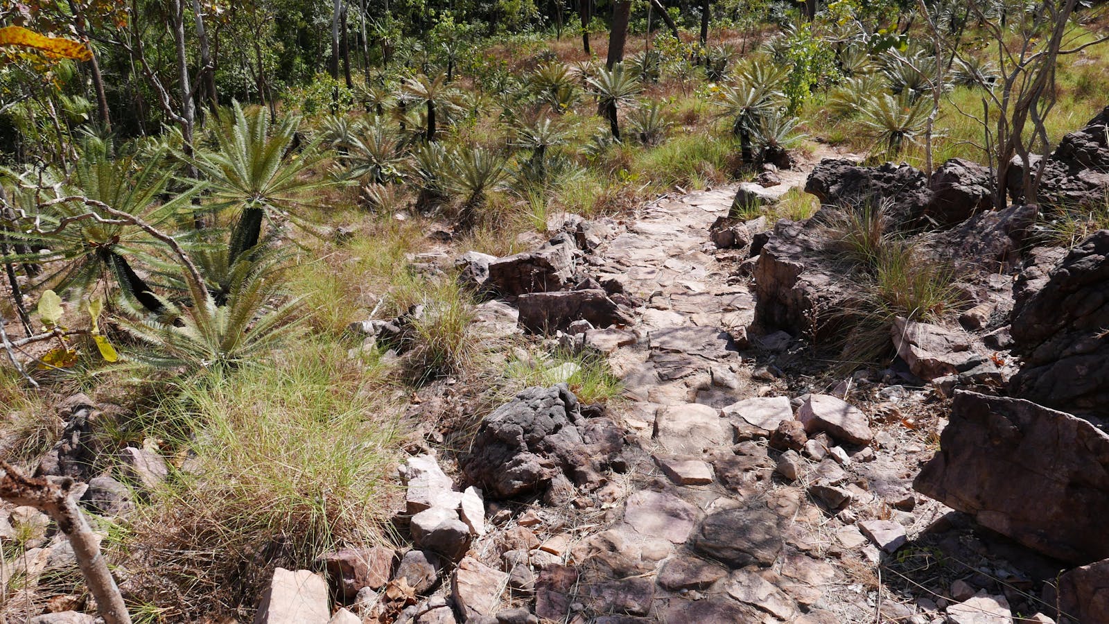 Walker Creek