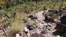 Walker Creek walk
