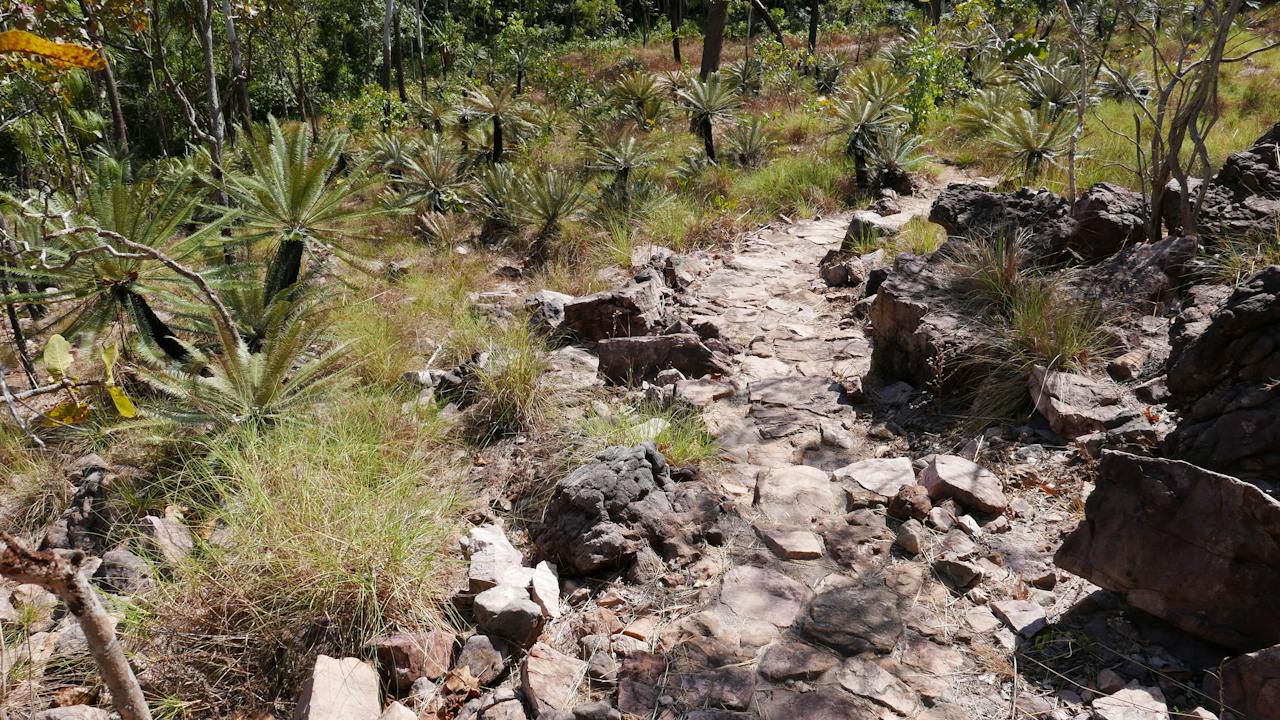 Walker Creek