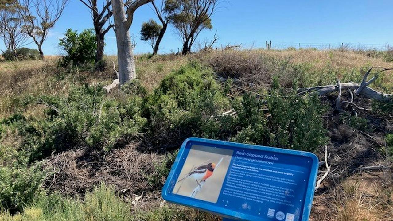 Snook Road Nature Walk