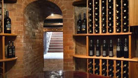 The Freedom Cellar