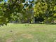 Large grassy area with a picnic table and caravan in background
