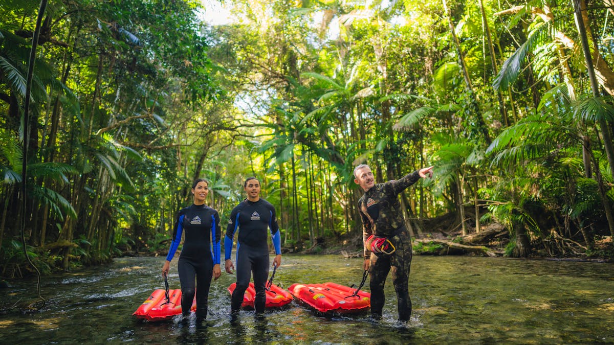 our guide showing 2 guests the rainforest while standing in the mossman river