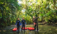 our guide showing 2 guests the rainforest while standing in the mossman river