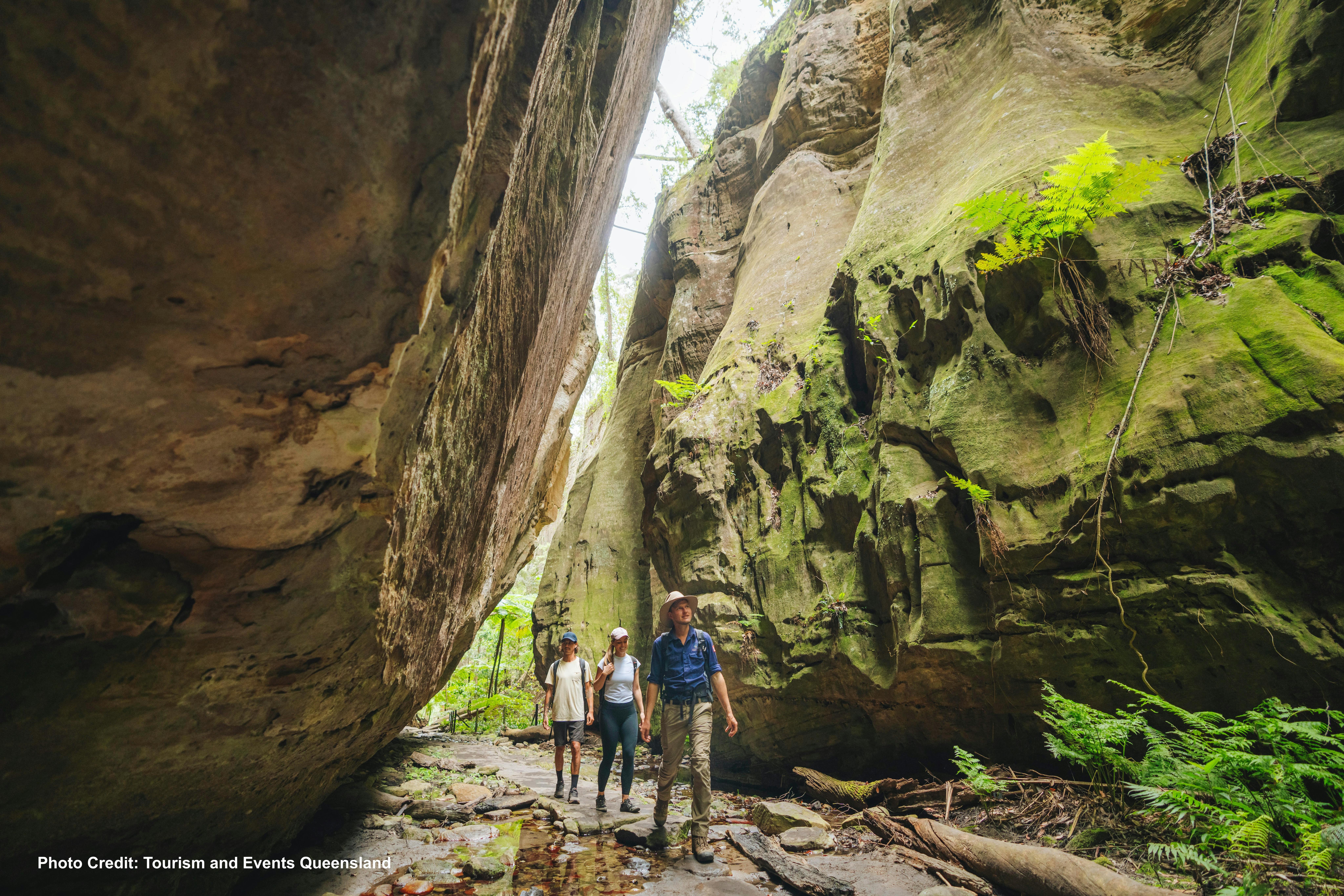 Carnarvon Gorge - Ward's Canyon