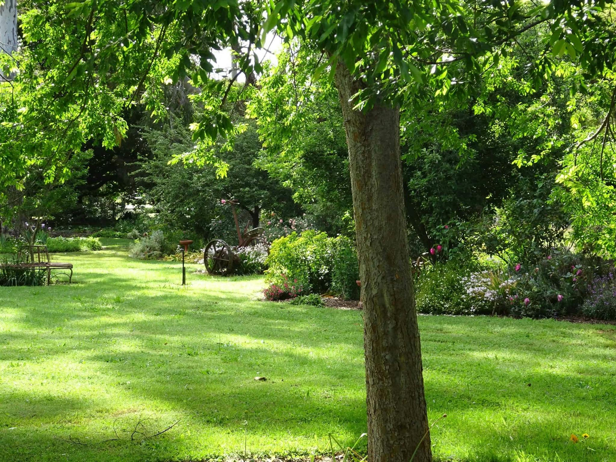 A green, grassy garden with many flowers and a large tree