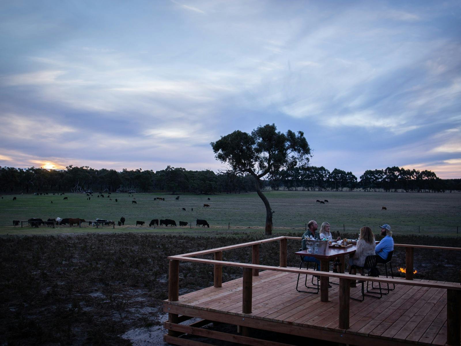 Guests enjoying the viewing deck over looking the farm with cows grazing in the paddock beside.