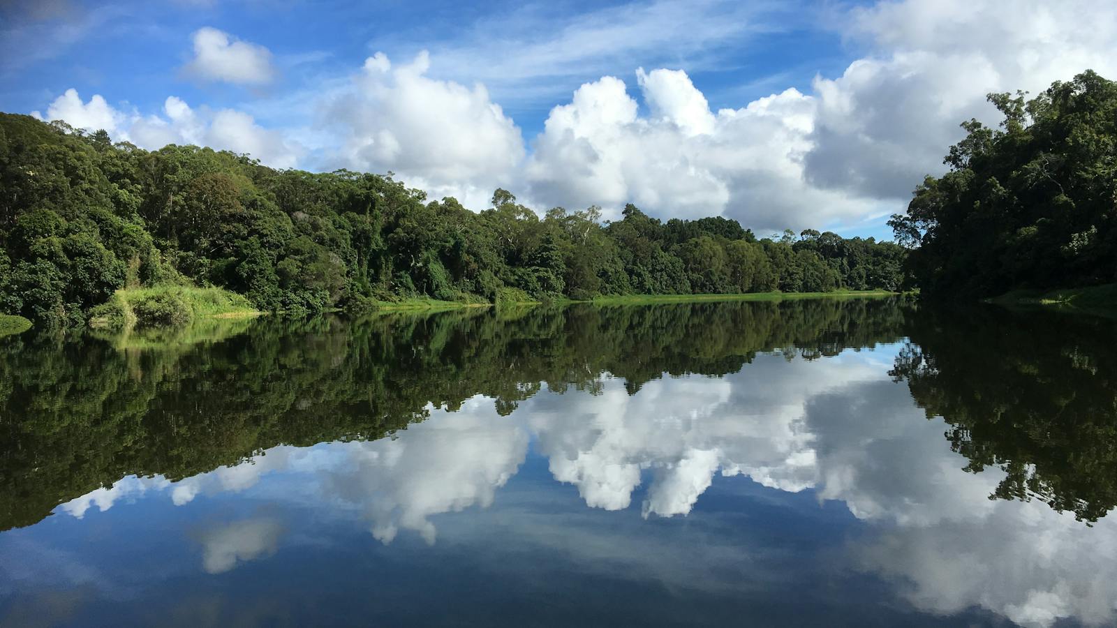 Barron River in Kuranda