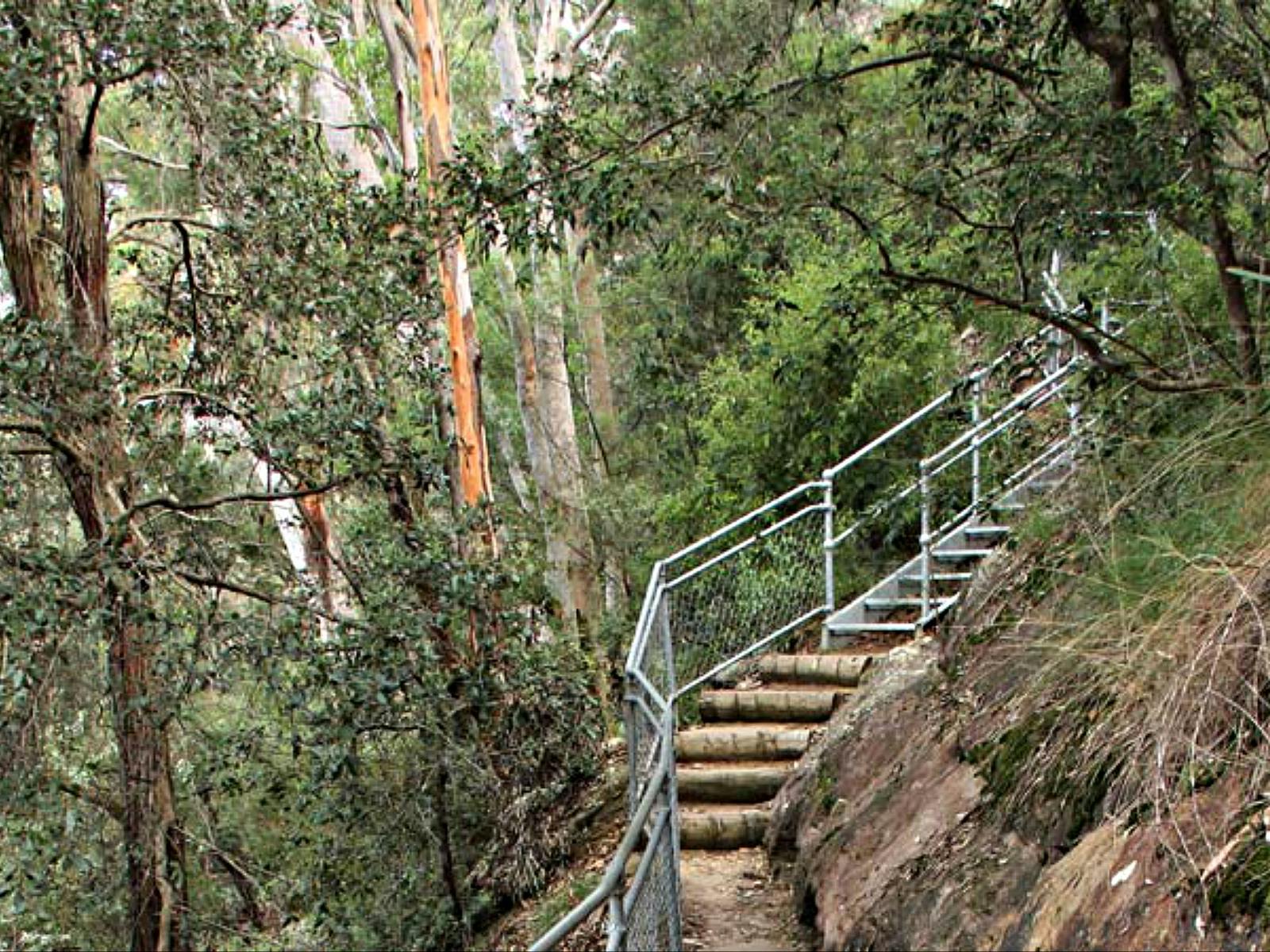 Treppe auf Caleys Lookout Track. Foto: John Yurasek